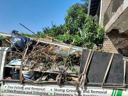 Best Residential Junk Removal  in Windsor, CO