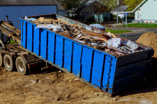Best Shed Removal  in Windsor, CO